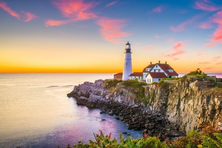 Portland Maine A City to Sink Your Roots Into