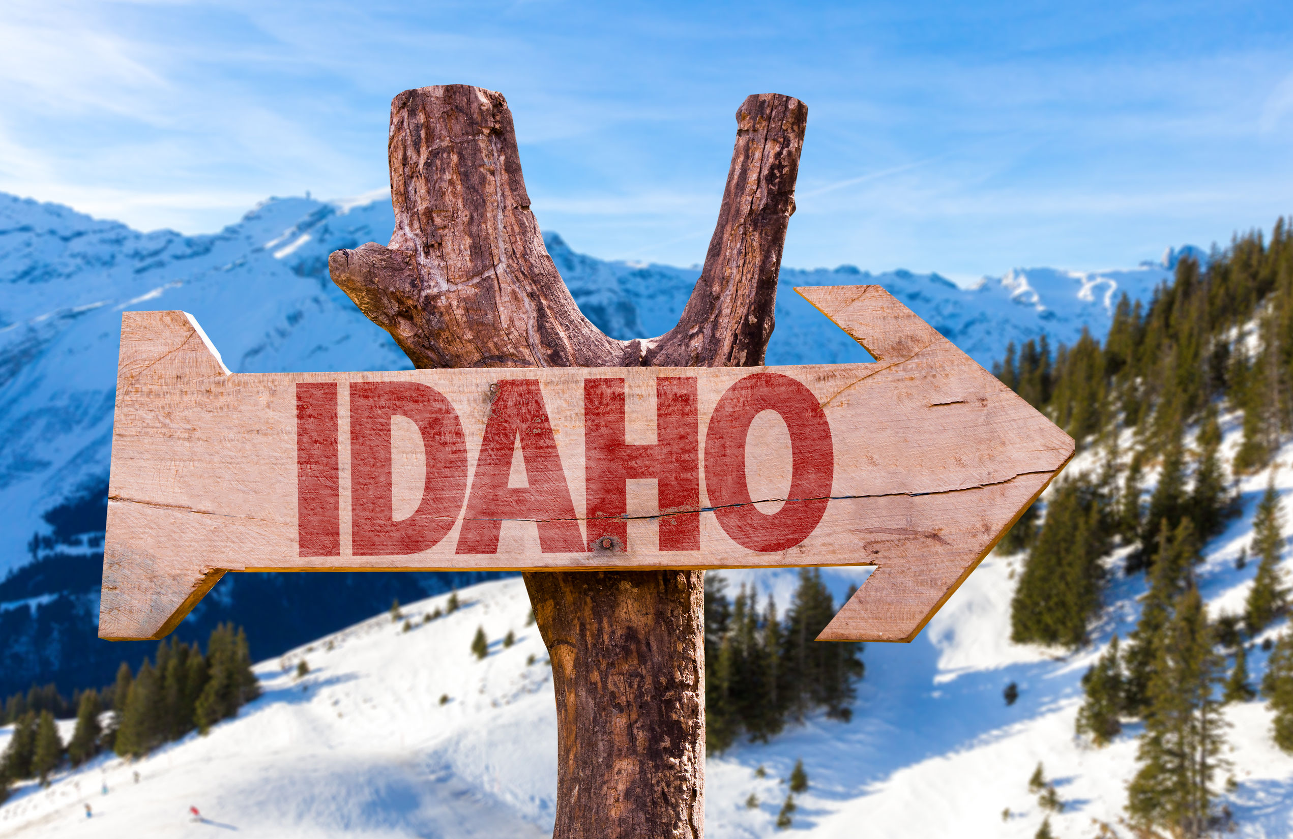 idaho wooden sign with winter background