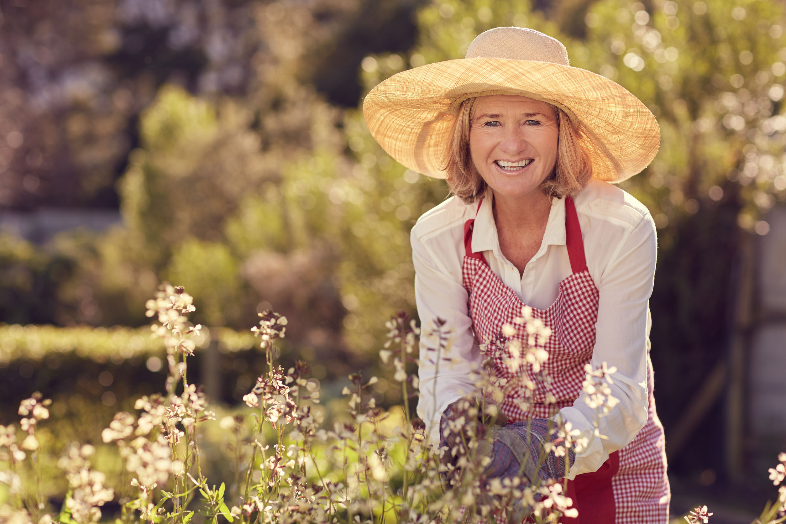 portrait of a senior woman smiling at the camera while bending over a rocket plant with flowers, while wearing a straw hat and apron in her garden on a sunny morning