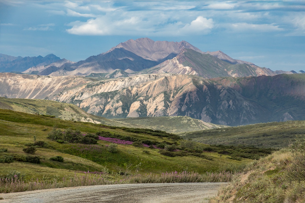 Denali National Park