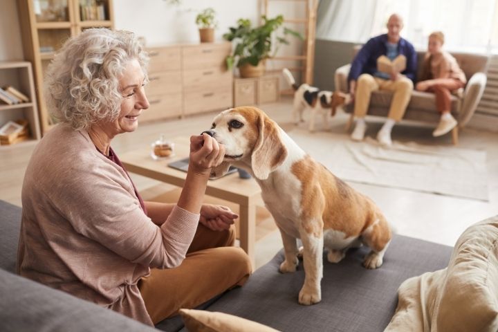 Importance of Pets for Healthy Happy Senior Living