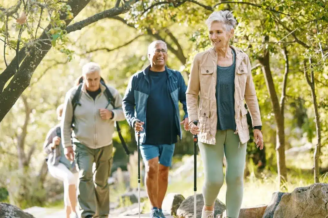 A group of older adults hiking on a forest trail, using walking poles. The trail is surrounded by green foliage and dappled sunlight.